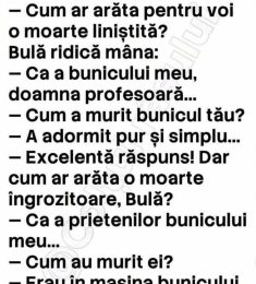 Cavalerul Timisoarean, 48 Ani , Heterosexual, Bărbat