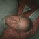 Razvan, 44 Ani , Miercurea-Ciuc, Romania